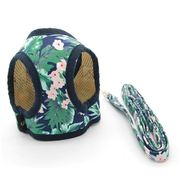 dog collars & leashes cat pet vest collar harnesses leash puppy pets harness fashion dogs cloth mesh breathable cats clothing
dog collars & leashes cat pet vest collar harnesses leash puppy pets harness fashion dogs cloth mesh breathable cats clothing