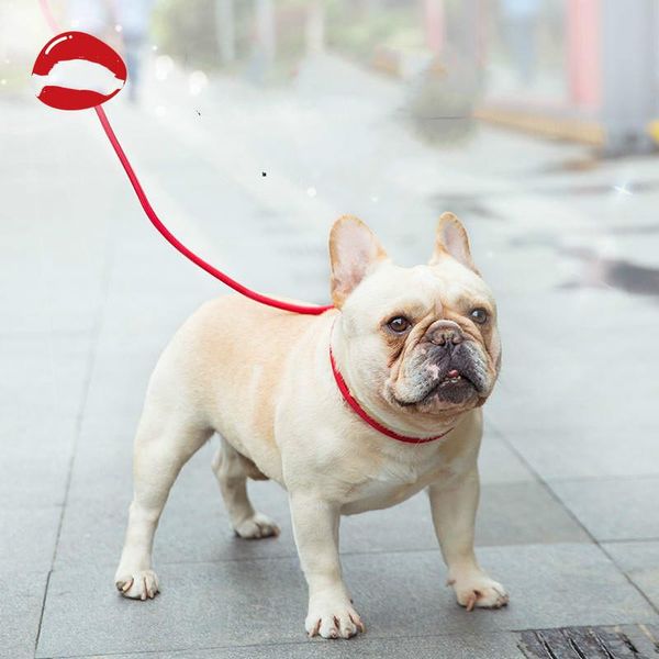 leash guinzaglio cane pomeranian caes dog collar personalized hunde muzzle mascotas perro arnes para light collars & leashes
leash guinzaglio cane pomeranian caes dog collar personalized hunde muzzle mascotas perro arnes para light collars & leashes