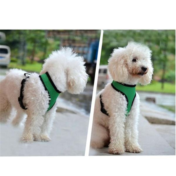 dog collars & leashes 1 pc summer pet clothes for small middle cat xs-xl harness soft mesh vest lead leash chest belt tank wholesale
dog collars & leashes 1 pc summer pet clothes for small middle cat xs-xl harness soft mesh vest lead leash chest belt tank wholesale