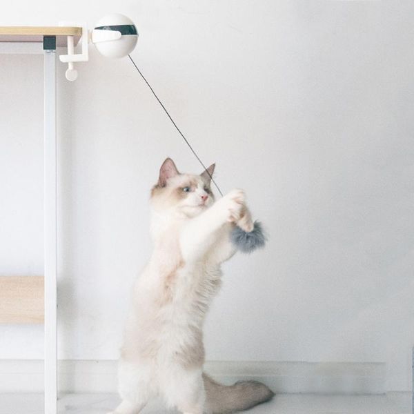electric automatic lifting cat ball toy interactive puzzle smart pet teaser toys spring rod
electric automatic lifting cat ball toy interactive puzzle smart pet teaser toys spring rod