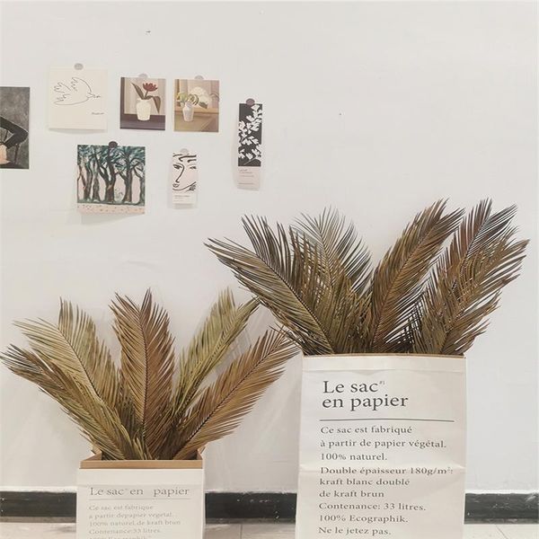 decorative flowers & wreaths fruticose dracaena leaf ,natural dried plant sago cycas branch,dry palm fan leaves,party wedding home table dec
decorative flowers & wreaths fruticose dracaena leaf ,natural dried plant sago cycas branch,dry palm fan leaves,party wedding home table dec
