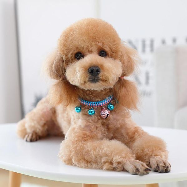 dog collars & leashes small cute puppy collar metal buckle girly doberman dogs personalized chihuahua decoration ii50gqy
dog collars & leashes small cute puppy collar metal buckle girly doberman dogs personalized chihuahua decoration ii50gqy