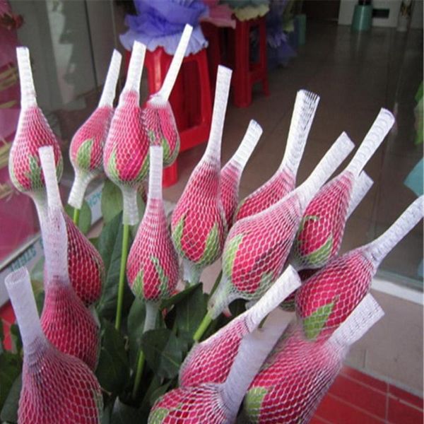 makeup brushes 100/200/300pcs netting protective cover set rose bud shaped storage mesh sheath protectors cosmetics tool
makeup brushes 100/200/300pcs netting protective cover set rose bud shaped storage mesh sheath protectors cosmetics tool