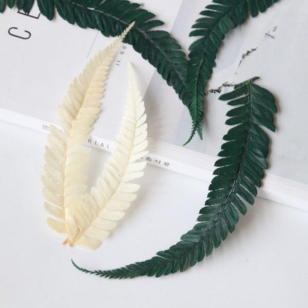 decorative flowers & wreaths 1g natural dried flower fern leaves material package diy handmade craft po frame accessories
decorative flowers & wreaths 1g natural dried flower fern leaves material package diy handmade craft po frame accessories