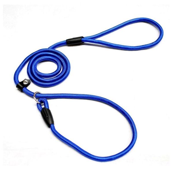 dog collars & leashes 1.0*140cm pet nylon adjustable loop training lead collar leash traction rope (blue)
dog collars & leashes 1.0*140cm pet nylon adjustable loop training lead collar leash traction rope (blue)