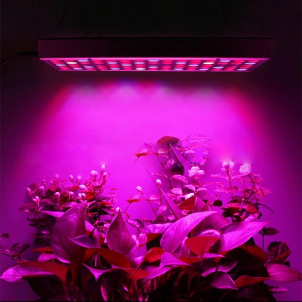 full spectrum led plant grow light 25w 45w greenhouse tent plants seedling and flower panel eu/us/au/uk lights
full spectrum led plant grow light 25w 45w greenhouse tent plants seedling and flower panel eu/us/au/uk lights