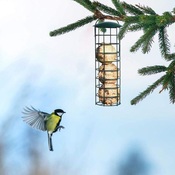 other bird supplies feeder wire grids fat ball holder outdoor hanging portable mesh dispenser tool for small wild birds
other bird supplies feeder wire grids fat ball holder outdoor hanging portable mesh dispenser tool for small wild birds