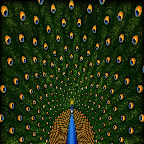 wallpapers dropship custom mural 3d living room bedroom beautiful peacock wallpaper for
wallpapers dropship custom mural 3d living room bedroom beautiful peacock wallpaper for