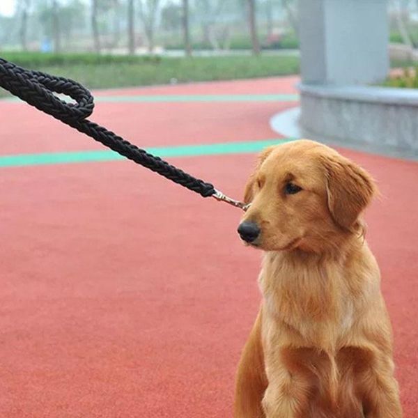 dog collars & leashes super strong coarse nylon leash army green canvas double row adjustable for medium large dogs collar
dog collars & leashes super strong coarse nylon leash army green canvas double row adjustable for medium large dogs collar