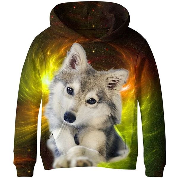 husky boys and girls novelty hoodie 3d printed pullover hooded sweatshirt with pocket 100-160, Black
husky boys and girls novelty hoodie 3d printed pullover hooded sweatshirt with pocket 100-160, Black