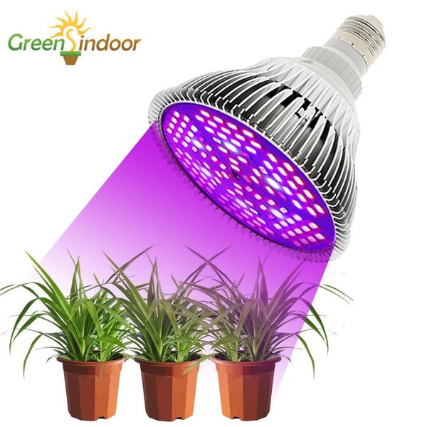 indoor phyto lamp for plants 80w 50w 30w 10w led full spectrum grow light uv ir flowers tent lights
indoor phyto lamp for plants 80w 50w 30w 10w led full spectrum grow light uv ir flowers tent lights