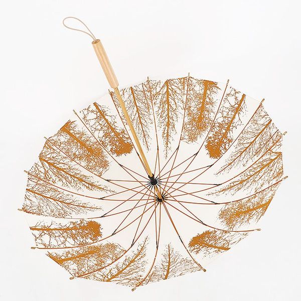 umbrellas 16 bone clear umbrella retro literary and artistic long handle wooden small fresh birch windbreak cute
umbrellas 16 bone clear umbrella retro literary and artistic long handle wooden small fresh birch windbreak cute