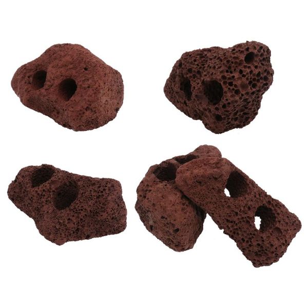 grow lights 5pcs creative water grass fixed ring volcanic rocks ornament (random color)
grow lights 5pcs creative water grass fixed ring volcanic rocks ornament (random color)