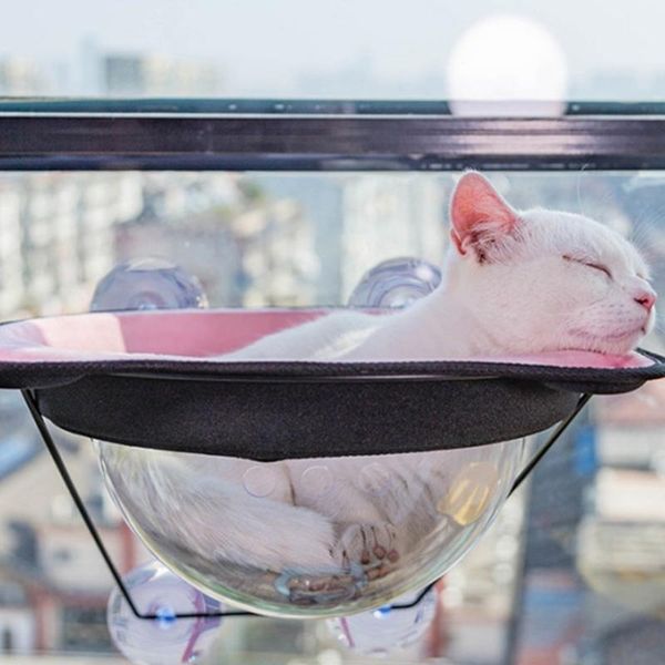 cats hammock resting seat space saving window mounted perches kitten hanging bed d08d cat beds & furniture
cats hammock resting seat space saving window mounted perches kitten hanging bed d08d cat beds & furniture
