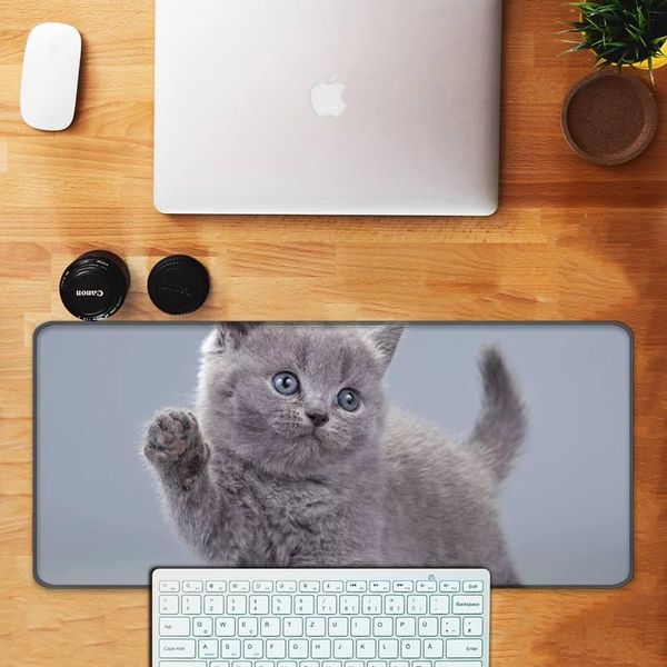 mouse pads & wrist rests cute kitten funny cat comfort mat gaming mousepad extra big anti-slip natural rubber with locking edge
mouse pads & wrist rests cute kitten funny cat comfort mat gaming mousepad extra big anti-slip natural rubber with locking edge