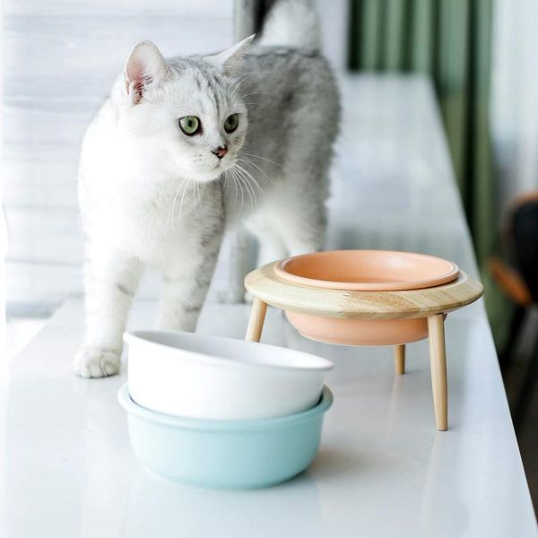 non-slip dry ceramic pet bowl canister water & treats for dogs cats more comfortable eating kitten and puppy durable cat bowls feeders
non-slip dry ceramic pet bowl canister water & treats for dogs cats more comfortable eating kitten and puppy durable cat bowls feeders