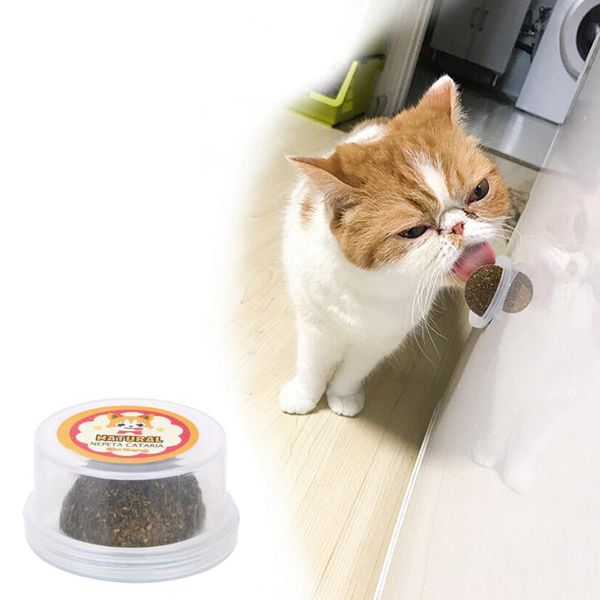 cat toys for kitten edible treating cleaning teeth natural catnip pet accessorries cats crazy healthy products
cat toys for kitten edible treating cleaning teeth natural catnip pet accessorries cats crazy healthy products
