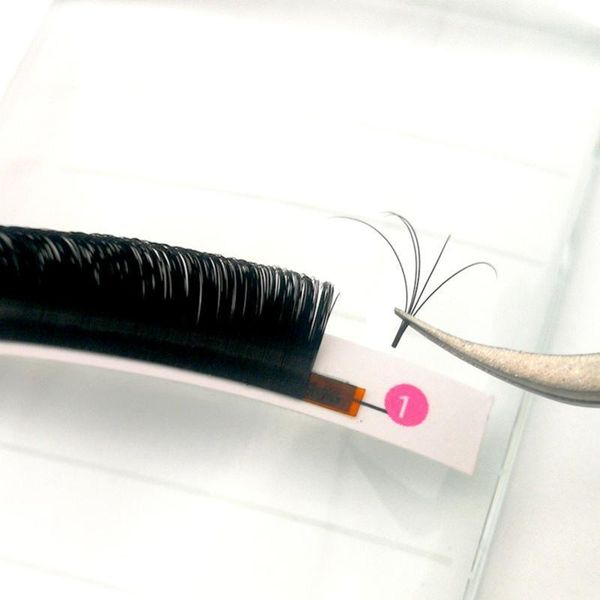 easy fanning eyelashes for extensions fan eyelash bloom flare eye lash russian volume cilia silk lash1
easy fanning eyelashes for extensions fan eyelash bloom flare eye lash russian volume cilia silk lash1