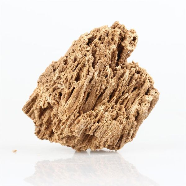decorations natural stone paleontological fossil landscaping rockery aquarium decoration bonsai water grass plant root growth adsorption
decorations natural stone paleontological fossil landscaping rockery aquarium decoration bonsai water grass plant root growth adsorption