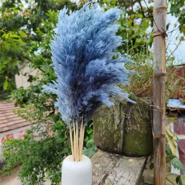 decorative flowers & wreaths 10pcs dried blue pampas grass home decoration natural plant ornament greyblue flower bunch for wedding decor
decorative flowers & wreaths 10pcs dried blue pampas grass home decoration natural plant ornament greyblue flower bunch for wedding decor