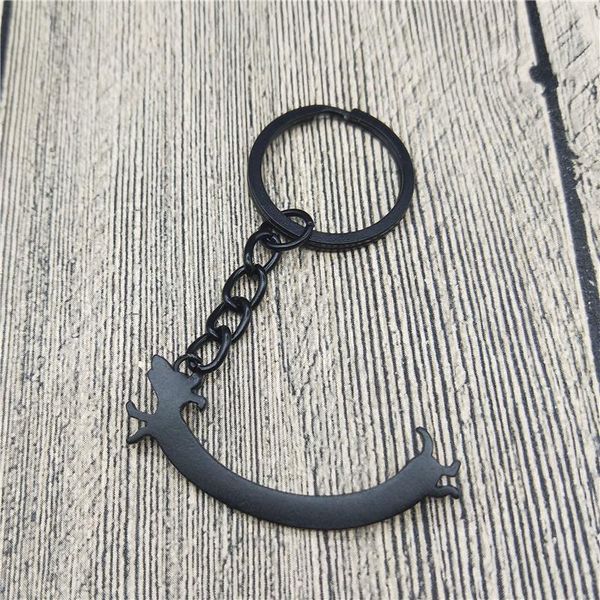 keychains cute long dachshund keychain wiener sausage dog pendant women jewellery lover gift, Silver
keychains cute long dachshund keychain wiener sausage dog pendant women jewellery lover gift, Silver
