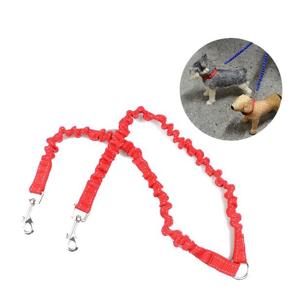 adjustable 2 in 1 retractable nylon dog leash coupler way pet double for walking two small dogs teddy collars & leashes
adjustable 2 in 1 retractable nylon dog leash coupler way pet double for walking two small dogs teddy collars & leashes
