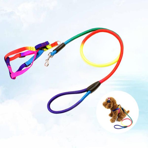 dog collars & leashes rainbow color dogs leads puppy harness chest straps pet traction ropes supplies - size s
dog collars & leashes rainbow color dogs leads puppy harness chest straps pet traction ropes supplies - size s