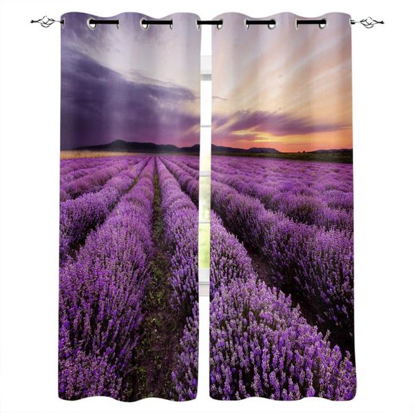 curtain & drapes plant purple lavender flowers dusk window treatments curtains valance room large dark
curtain & drapes plant purple lavender flowers dusk window treatments curtains valance room large dark