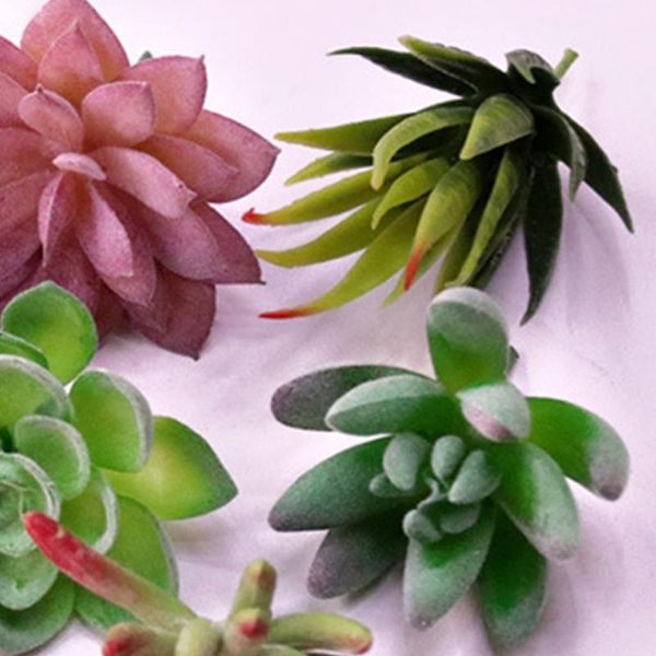 decorative flowers & wreaths plastic assortment mini floral arrangement diy gift picks different type garden artificial succulents set home
decorative flowers & wreaths plastic assortment mini floral arrangement diy gift picks different type garden artificial succulents set home