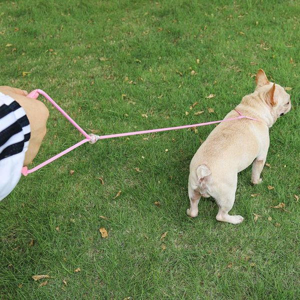 dog collars & leashes practical pet nylon leash rope puppy integrated competition training traction collar lead strap for supplies
dog collars & leashes practical pet nylon leash rope puppy integrated competition training traction collar lead strap for supplies