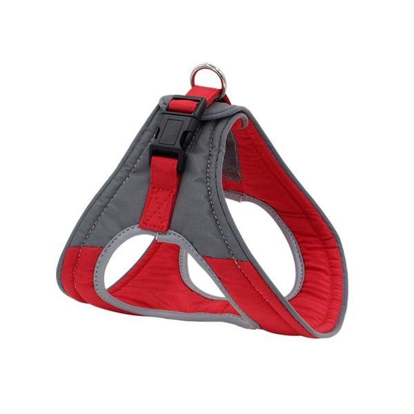 dog collars & leashes pet puppy dogs lightweight harness velvet for reflective walking chest strap* 2021
dog collars & leashes pet puppy dogs lightweight harness velvet for reflective walking chest strap* 2021