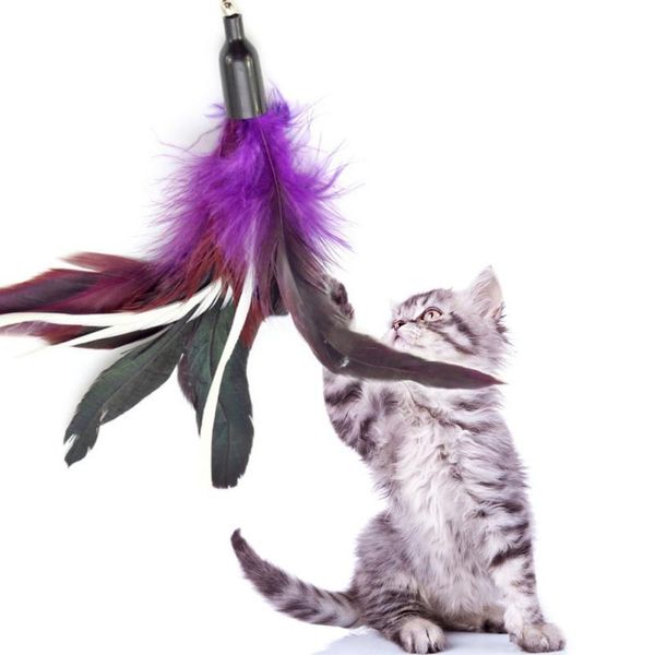 cat toys pet fit life 6 soft interactive tools toy creative feathers teaser and exerciser for cat.
cat toys pet fit life 6 soft interactive tools toy creative feathers teaser and exerciser for cat.