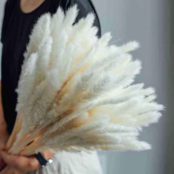 30pcs dried decoration flowers vases bouquet boho branches flower decorative & wreaths
30pcs dried decoration flowers vases bouquet boho branches flower decorative & wreaths