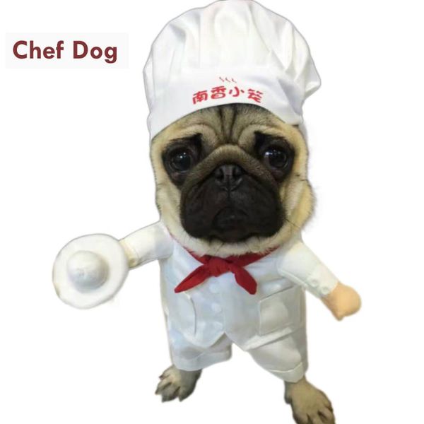 dog apparel funny star chef costume for pets cosplay suit cat halloween christmas year outfit clothes dogs
dog apparel funny star chef costume for pets cosplay suit cat halloween christmas year outfit clothes dogs