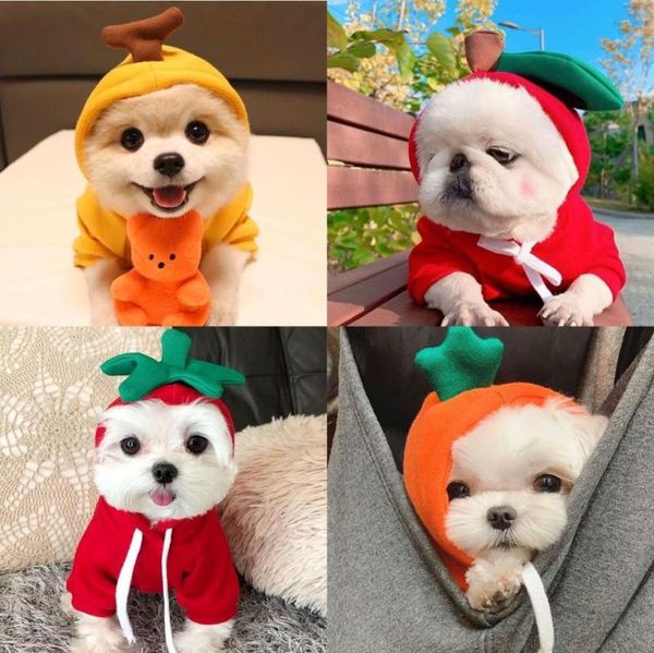 dog apparel summer thin pet hooded sweater clothes than xiong bomei vip schnauzer kittens fruit small
dog apparel summer thin pet hooded sweater clothes than xiong bomei vip schnauzer kittens fruit small