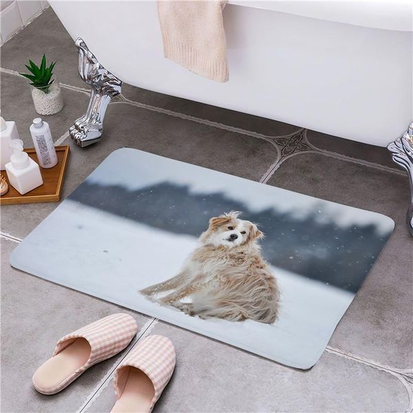 carpets dog entrance door floor mat non-slip foot pad home welcome carpet for hallway bath kitchen doormat
carpets dog entrance door floor mat non-slip foot pad home welcome carpet for hallway bath kitchen doormat