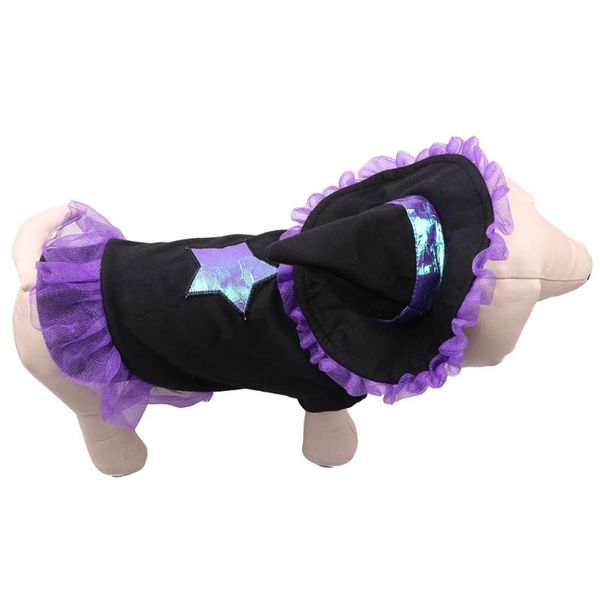 dog apparel 2021 phalloween witch turned into cat dress clothes pet coat role playing 9.10
dog apparel 2021 phalloween witch turned into cat dress clothes pet coat role playing 9.10