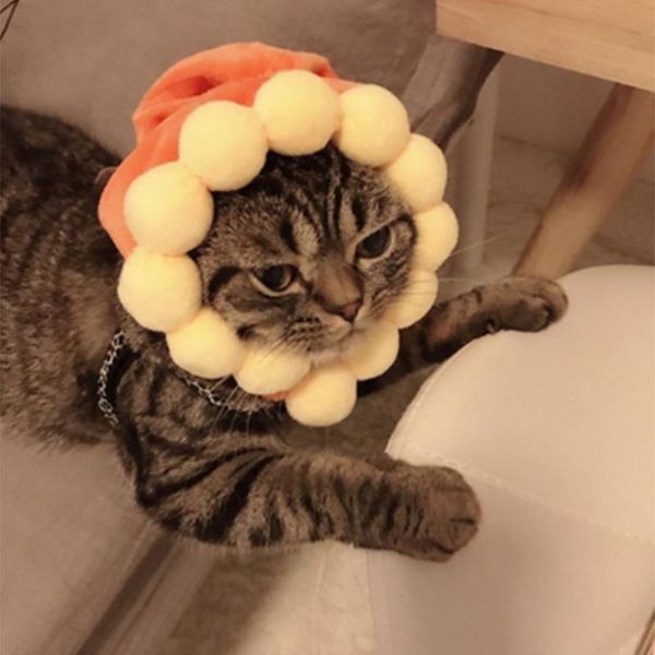 dog apparel cute cartoon dogs cat hats accessories caps animals design warm head cap winter party clothing dressing
dog apparel cute cartoon dogs cat hats accessories caps animals design warm head cap winter party clothing dressing