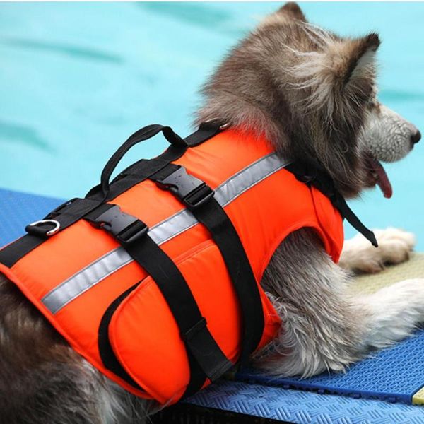 dog apparel life jacket vest summer pet safety clothes dogs swimwear pets swimming suit with adhesive stickers
dog apparel life jacket vest summer pet safety clothes dogs swimwear pets swimming suit with adhesive stickers