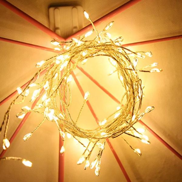 strings 2m 5m led string lights copper wire fairy night light for christmas garland room bedroom indoor wedding decoration lamp
strings 2m 5m led string lights copper wire fairy night light for christmas garland room bedroom indoor wedding decoration lamp