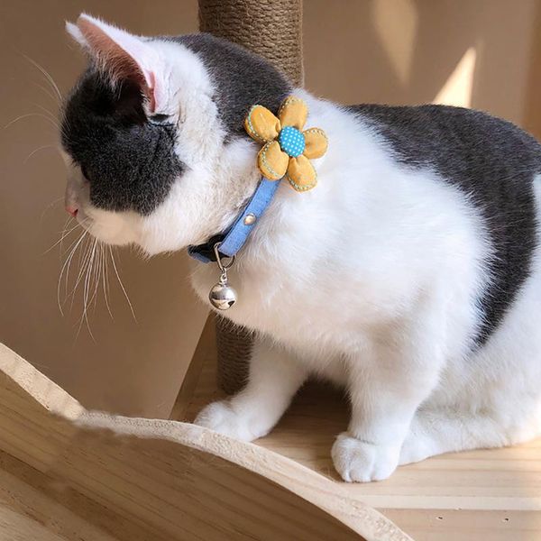 cat collars & leads 1pcs pet collar fashion adjustable cute flower decor dog with bell supplies puppy accessories
cat collars & leads 1pcs pet collar fashion adjustable cute flower decor dog with bell supplies puppy accessories