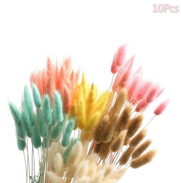 decorative flowers & wreaths 10pcs natural dried tail grass bunch colorful real flower bouquet for home wedding decoration
decorative flowers & wreaths 10pcs natural dried tail grass bunch colorful real flower bouquet for home wedding decoration