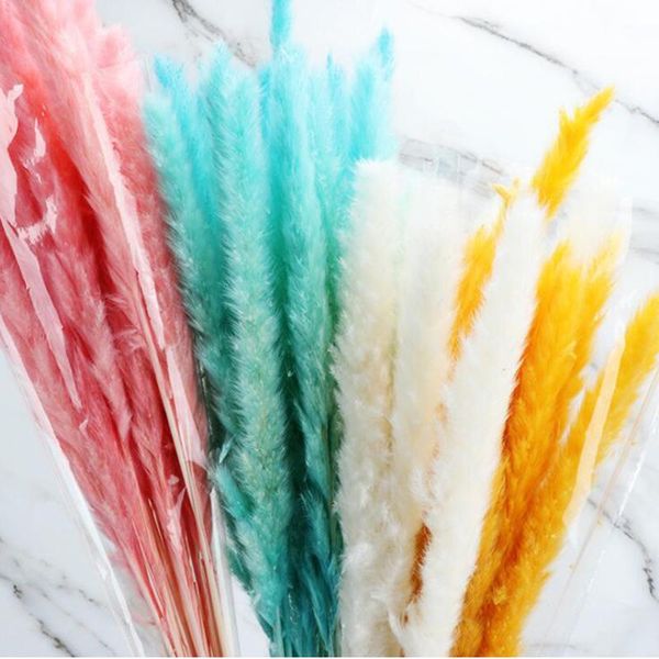 decorative flowers & wreaths 15pc 70cm dried fake phragmites flower bulrush natural colorful grass home wedding party decor artificial bouqu
decorative flowers & wreaths 15pc 70cm dried fake phragmites flower bulrush natural colorful grass home wedding party decor artificial bouqu