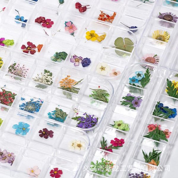 nail art decorations 24pcs accesoires dried flower style japanese for resin molds fillings epoxy pendant necklace jewelry diy supplies, Silver;gold
nail art decorations 24pcs accesoires dried flower style japanese for resin molds fillings epoxy pendant necklace jewelry diy supplies, Silver;gold