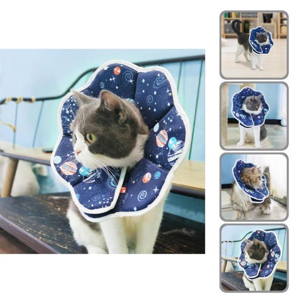 cat collars & leads recovery wound easily wear skin-friendly waterproof pet bite collar for puppy
cat collars & leads recovery wound easily wear skin-friendly waterproof pet bite collar for puppy