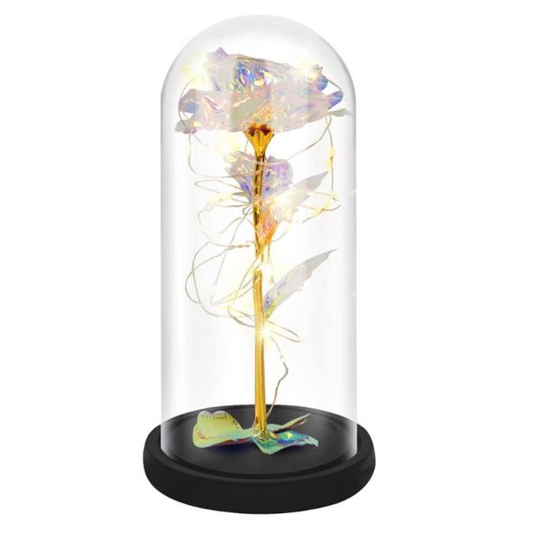 glass cover light immortal flower decorative tablelamp decor flowers & wreaths
glass cover light immortal flower decorative tablelamp decor flowers & wreaths