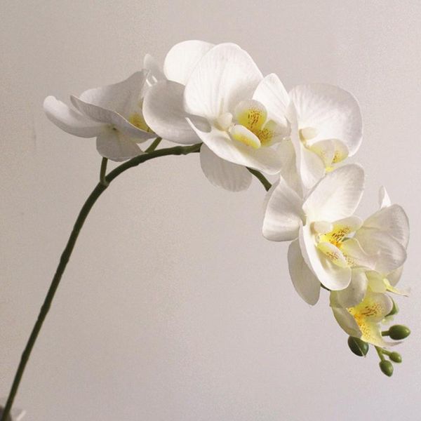 decorative flowers & wreaths simulation phalaenops wedding ceremony event party decor home office table display lifelike artificial
decorative flowers & wreaths simulation phalaenops wedding ceremony event party decor home office table display lifelike artificial