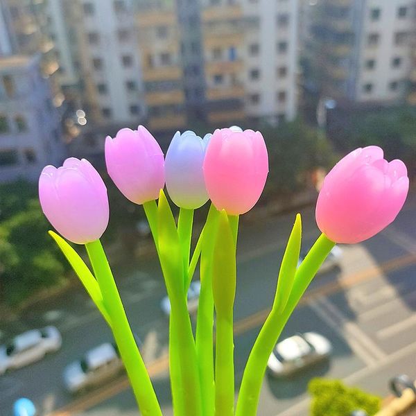 gel pens cute green pen holder changing color under sun creative for school student gift
gel pens cute green pen holder changing color under sun creative for school student gift