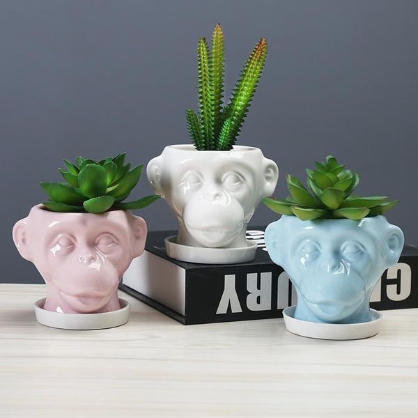 cartoon monkey ceramic flower pots animal succulents plant pot containers home outdoor garden planters with tray deskdecor &
cartoon monkey ceramic flower pots animal succulents plant pot containers home outdoor garden planters with tray deskdecor &