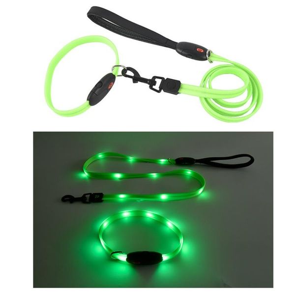 dog collars & leashes pet collar leash traction rope with led lamp beads glow in the dark robust metal bucklestraining accessories
dog collars & leashes pet collar leash traction rope with led lamp beads glow in the dark robust metal bucklestraining accessories